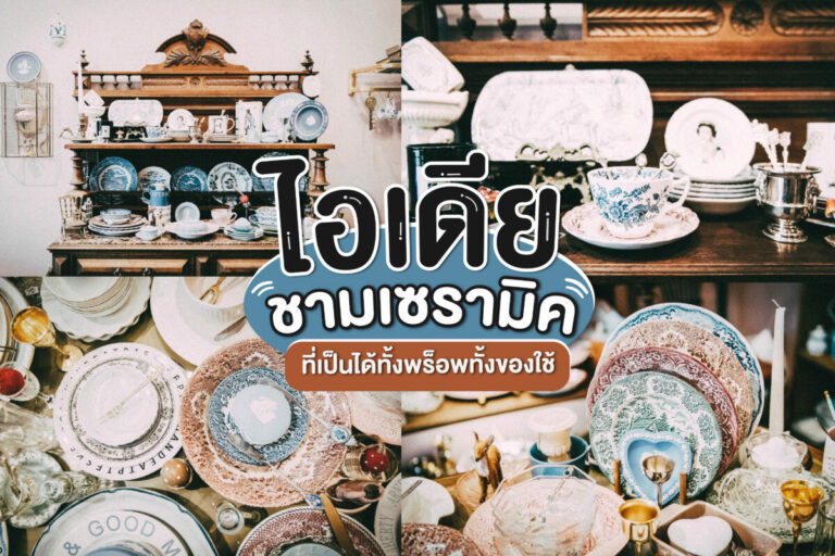 ไอเดียชาม “เซรามิค” ที่เป็นได้ทั้งพร็อพทั้งของใช้