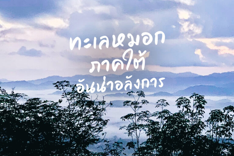  ทะเลหมอก จังหวัดพังงา ไม่ต้องล่า มาได้ทั้งปี ที่ เขาไข่นุ้ย