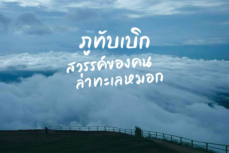 ภูทับเบิก สวรรค์ ของคนล่า ทะเลหมอก ต้นหนาวนี้ พลาดไม่ได้