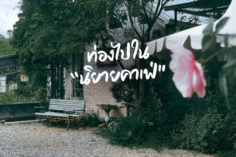 ท่องไปใน นิยาย คาเฟ่ บรรยากาศ ชวนฝัน แบบ เทพนิยาย