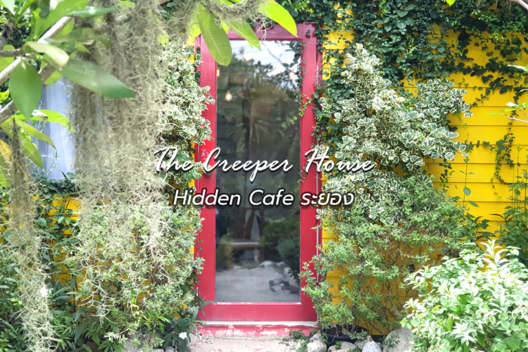 Hidden Café ระยอง THE CREEPER HOUSE เค้กดี เครื่องดื่มโดน