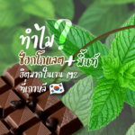 01-Chocolate-Mint-Thumbnail