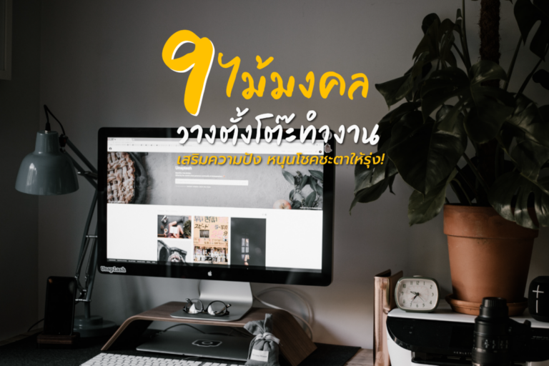 9 ไม้มงคล วางตั้งโต๊ะทำงาน เสริมความปัง หนุนโชคชะตาให้รุ่ง!