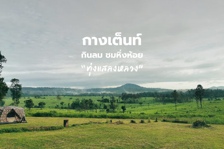 “ทุ่งแสลงหลวง” กางเต็นท์ กินลม ชมหิ่งห้อย 