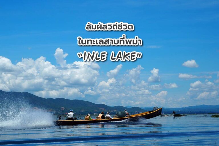 สัมผัสวิถีชีวิตในทะเลสาบที่พม่า “INLE LAKE”