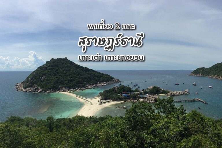 พาเที่ยว 2 เกาะสุราษฎร์ธานี เกาะเต่า เกาะนางยวน