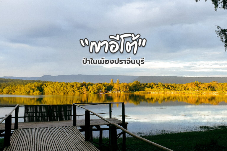 “เขาอีโต้” ป่าในเมืองปราจีนบุรี