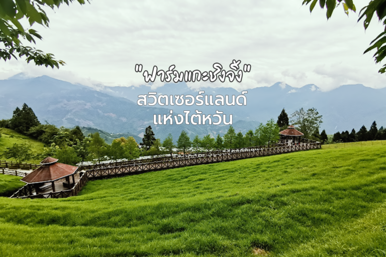 ฟาร์มแกะชิงจิ้ง (Cingjing Farm) สวิตเซอร์แลนด์แห่งไต้หวัน