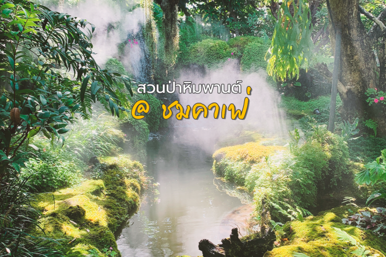 คาเฟ่น่าชม เหมือนอยู่ในสวนป่าหิมพานต์ ที่ Chom Cafe and Restaurant