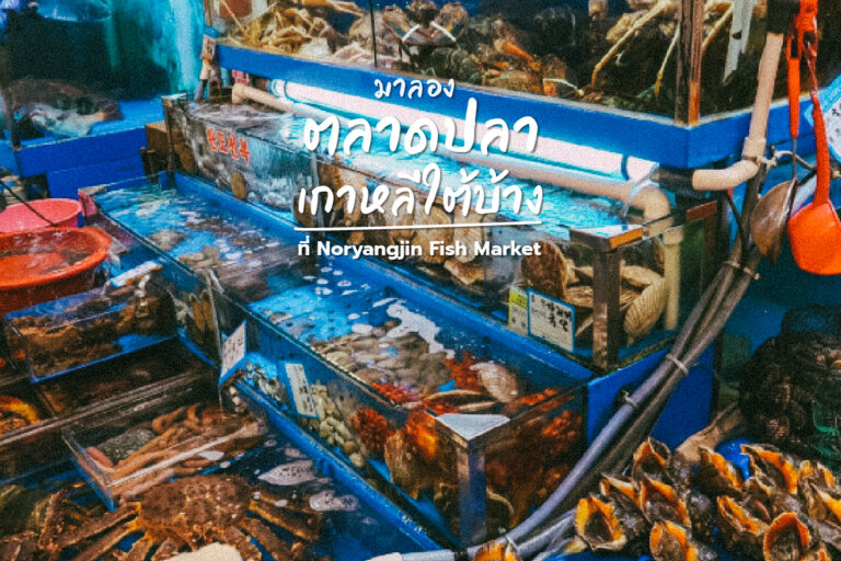มาลอง ตลาดปลา เกาหลีใต้บ้าง ที่ Noryangjin Fish Market