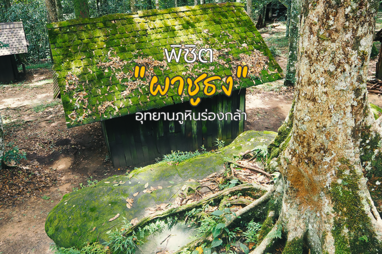 พิชิต “ผาชูธง” อุทยานแห่งชาติภูหินร่องกล้า