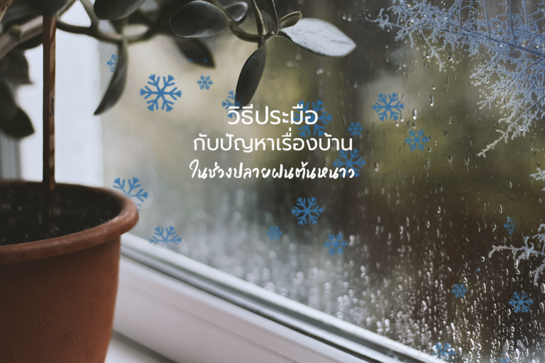 วิธีประมือ กับปัญหาเรื่องบ้าน ในช่วงปลายฝนต้นหนาว