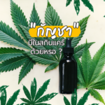 cannabis – Skincare banner