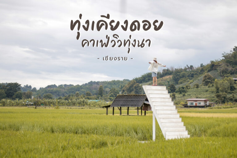 ทุ่งเคียงดอย คาเฟ่วิวทุ่งนา จ.เชียงราย ถูกใจสายเขียว