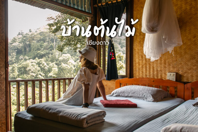 บ้านต้นไม้ แม่แมะ ที่พัก และร้านกาแฟ ท่ามกลางหุบเขา ที่สุดแสนจะธรรมชาติ