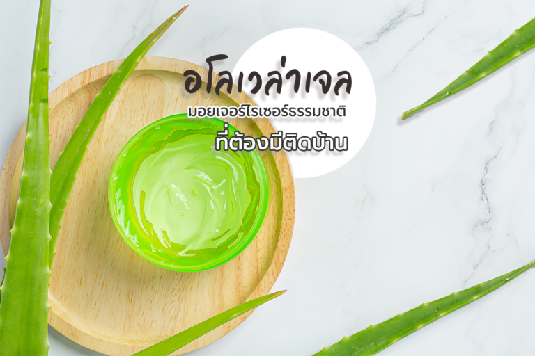 อโลเวล่าเจล (Aloe Vera) มอยเจอร์ไรเซอร์ธรรมชาติ ที่ต้องมีติดบ้าน!!