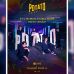 potato