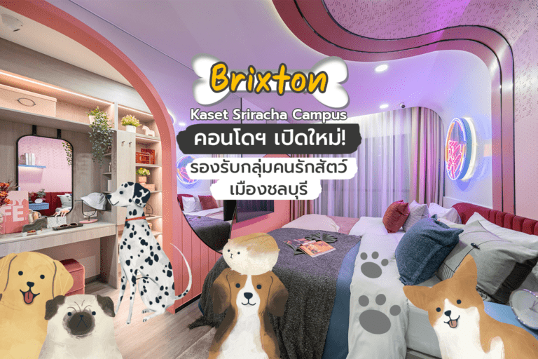 Brixton Kaset Sriracha Campus คอนโดฯ เปิดใหม่! รองรับกลุ่มคนรักสัตว์เมืองชลบุรี  