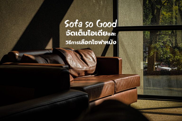 Sofa so good  จัดเต็มไอเดียและวิธีการเลือกโซฟาหนัง
