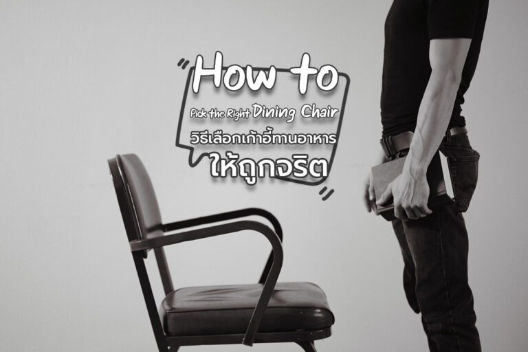 How to Pick the Right Dining Chair วิธีเลือกเก้าอี้ทานอาหารให้ถูกจริต