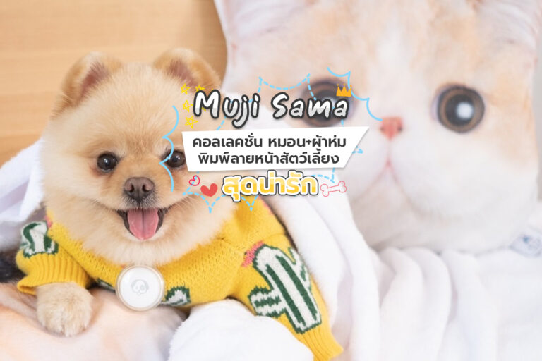 Mujisama คอลเลคชั่น หมอน+ผ้าห่ม พิมพ์ลายหน้าสัตว์เลี้ยงสุดน่ารัก 