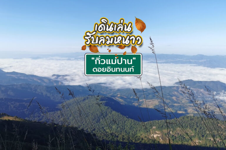 เดินเล่นรับลมหนาว ชมทะเลหมอกสุดปัง!! ที่ “กิ่วแม่ปาน” ดอยอินทนนท์