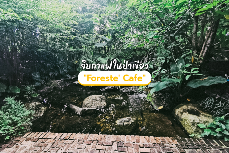 จิบกาแฟในบรรยากาศป่าเขาและน้ำตก “Foreste’ Cafe by ANNA-NAVA”