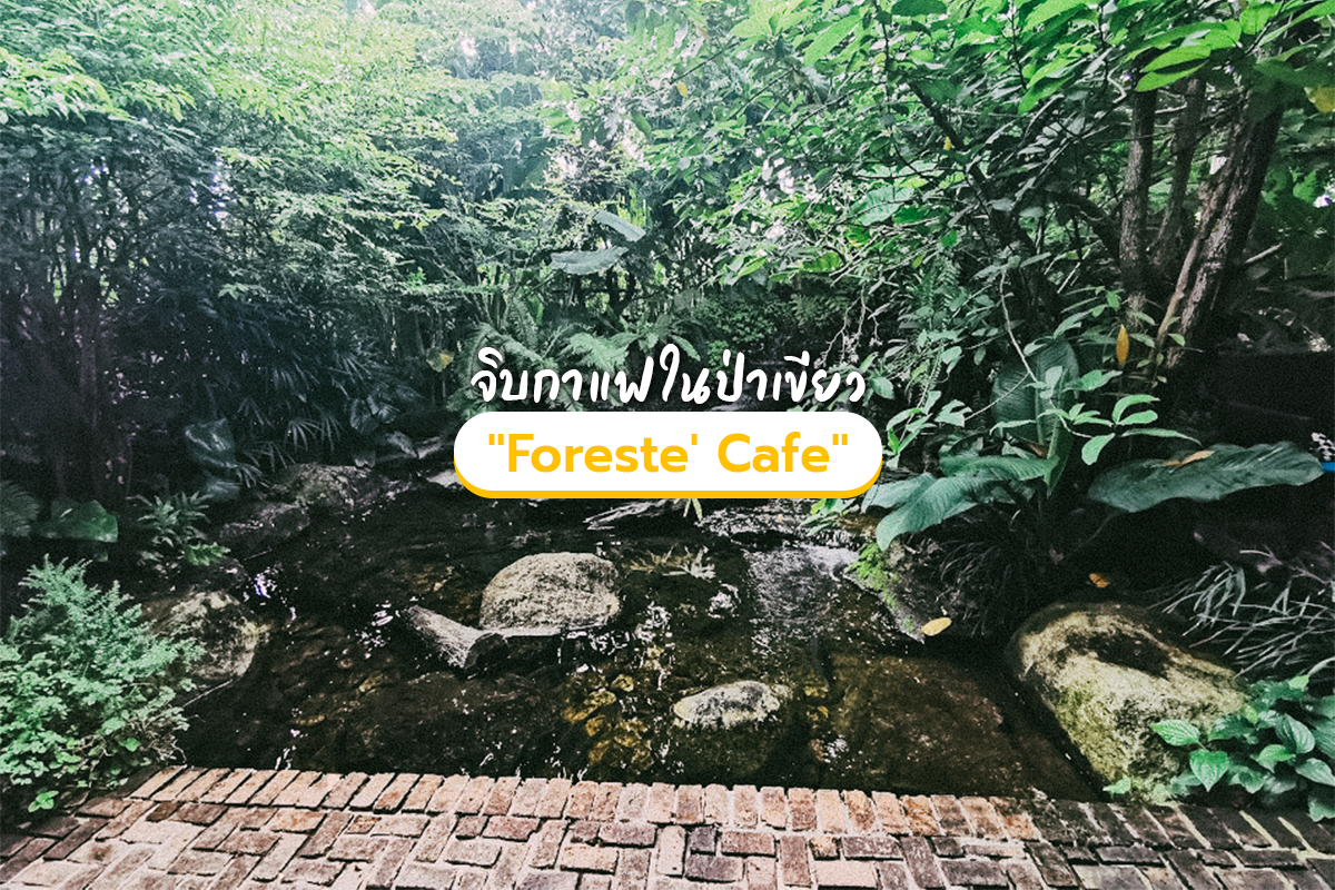 Foreste' Cafe