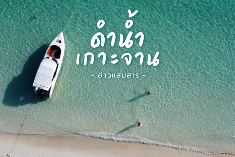 เกาะจาน อ่าวแสมสาร  จุดดำน้ำ Freedive สวย ๆ วันฟ้าเปิด ทะเลใส ท้องฟ้าสีคราม