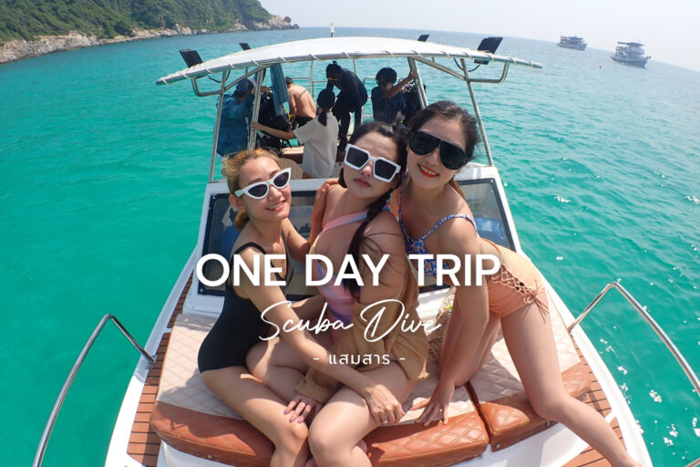 ดำน้ำลึก Scuba แบบ One day Trip ที่ แสมสาร สัตหีบ
