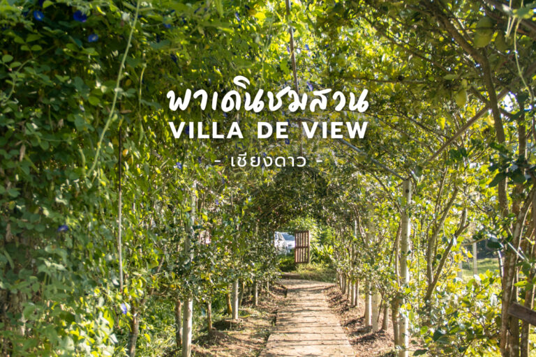 พาชมสวน Villa De View พื้นที่กว่า 10 ไร่ อ.เชียงดาว จ.เชียงใหม่ กับวิว ดอยหลวง ดอยนาง