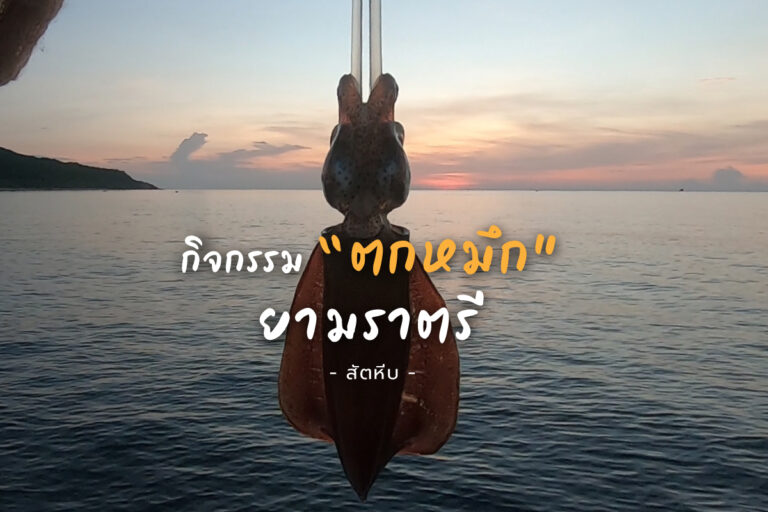กระตุกเอ็น ตกหมึก ยามค่ำคืน แบบสนุก มันส์ ฮา อ่าวแสมสาร มาลุ้นกันดีกว่า ว่าตกได้กี่ตัว??