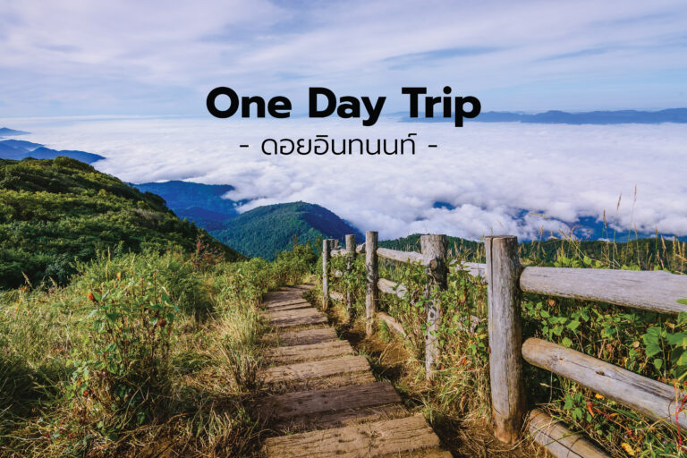 แนะนำ 7 จุดน่าเที่ยว แบบ One Day Trip ที่ดอยอินทนนท์