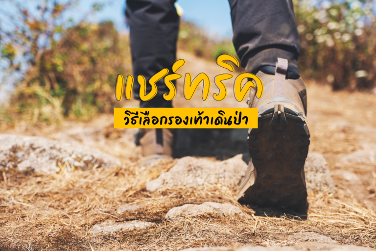 แชร์ทริค วิธีเลือกรองเท้าเดินป่า ให้เหมาะสม