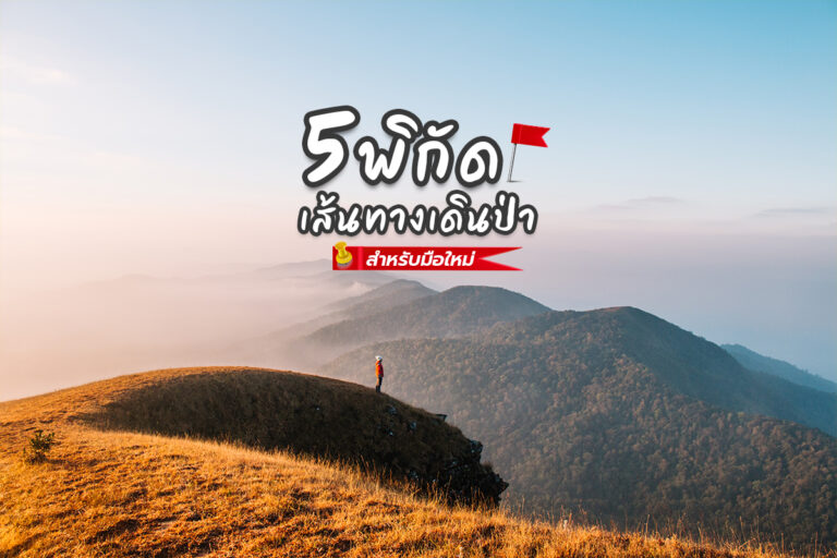 หนาวแล้วออกไปเที่ยวกัน แนะนำ 5 พิกัดเส้นทางเดินป่าสำหรับมือใหม่