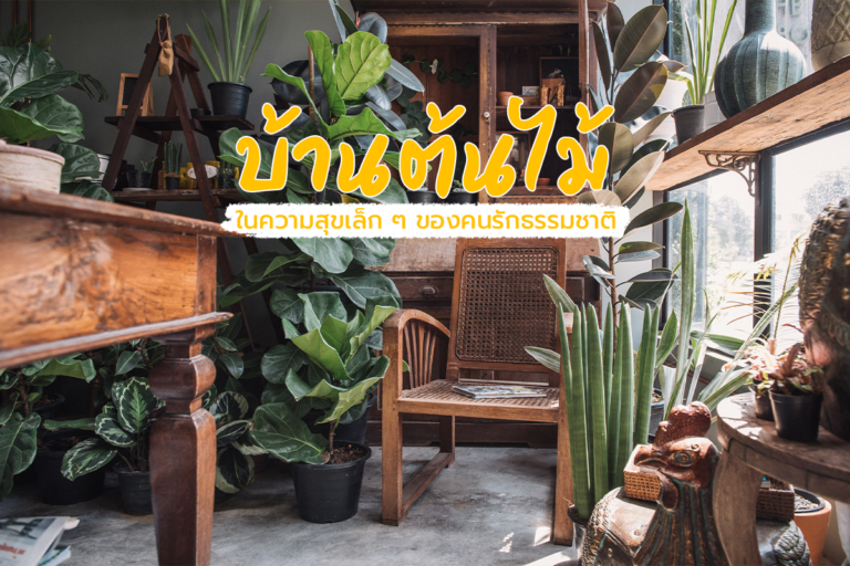 บ้านต้นไม้ ในความสุขเล็ก ๆ ของคนรักธรรมชาติ!