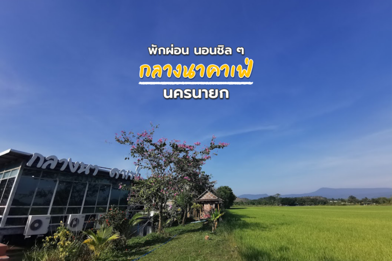 พักผ่อน นอนชิล ๆ “กลางนาคาเฟ่” นครนายก