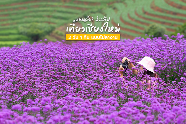 ลองดูมั๊ย? นั่งรถไฟเที่ยวเชียงใหม่ 2 วัน 1 คืน แบบไม่ลางาน(สำหรับสายโหด)