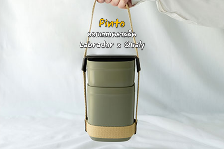 Pinto ออกแบบคลาสสิค จาก Labrador x Qualy
