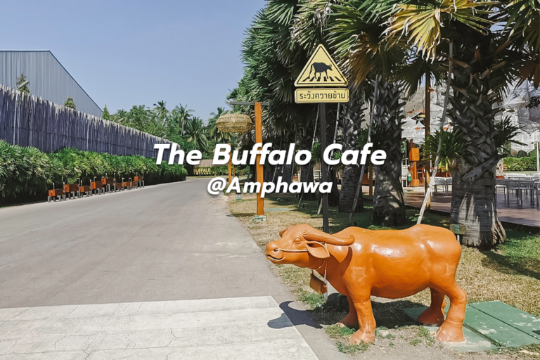พาเที่ยวคาเฟ่น้องควาย The Buffalo Cafe @Amphawa