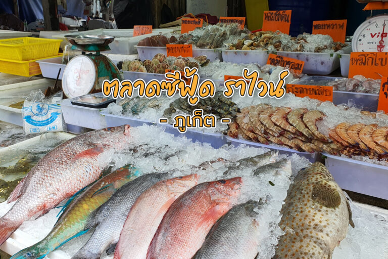 ตลาดซีฟู้ด ราไวน์ ที่ใครไป ภูเก็ต ก็ต้องแวะมากิน อาหารทะเล ที่นี่