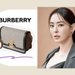 Celebrity Korea Bag