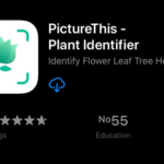 APP FOR PLANT แอปพิแคชั่นปลูกต้นไม้ในบ้าน