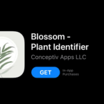 APP FOR PLANT แอปพิแคชั่นปลูกต้นไม้ในบ้าน