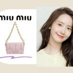 Celebrity Korea Bag