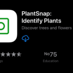 APP FOR PLANT แอปพิแคชั่นปลูกต้นไม้ในบ้าน