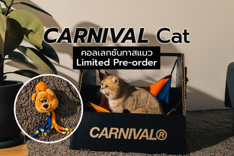 CARNIVAL Cat คอลเลกชันทาสแมว Limited Pre-order