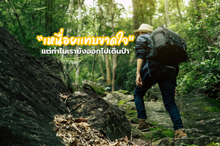 “เหนื่อยแทบขาดใจ แต่ทำไมเรายังออกไปเดินป่า” เหตุผลของการเดินป่า คืออะไร