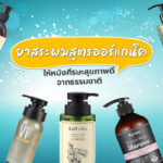 shampoo organic