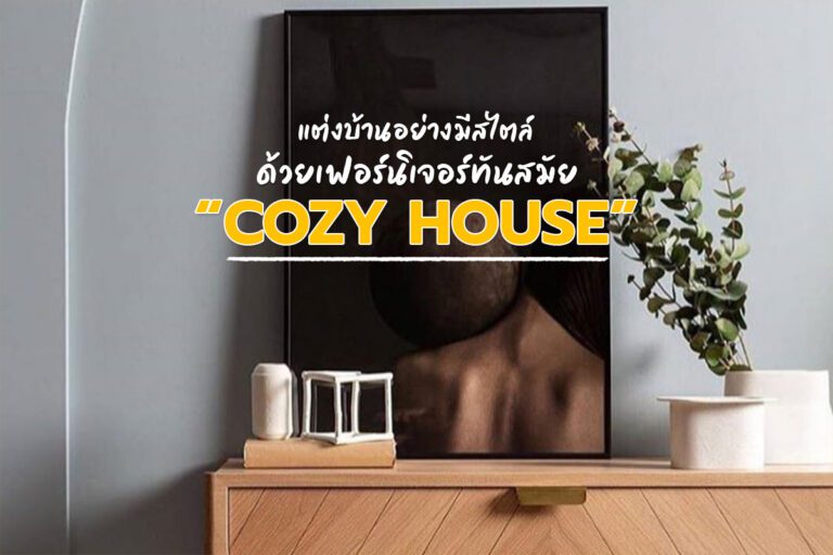 Cozy House แต่งบ้านอย่างมีสไตล์ด้วยเฟอร์นิเจอร์ทันสมัย